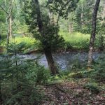 camping de la biche 5